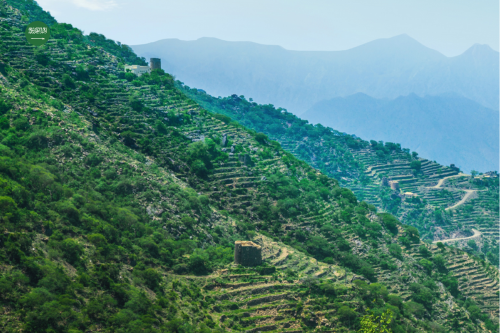 Discover Abha: Saudi Arabia's Mountainous Gem and Cultural Escape