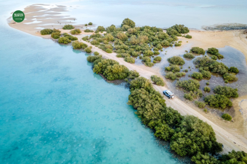 10 Reasons Why Every Tourist Should Visit Farasan Island